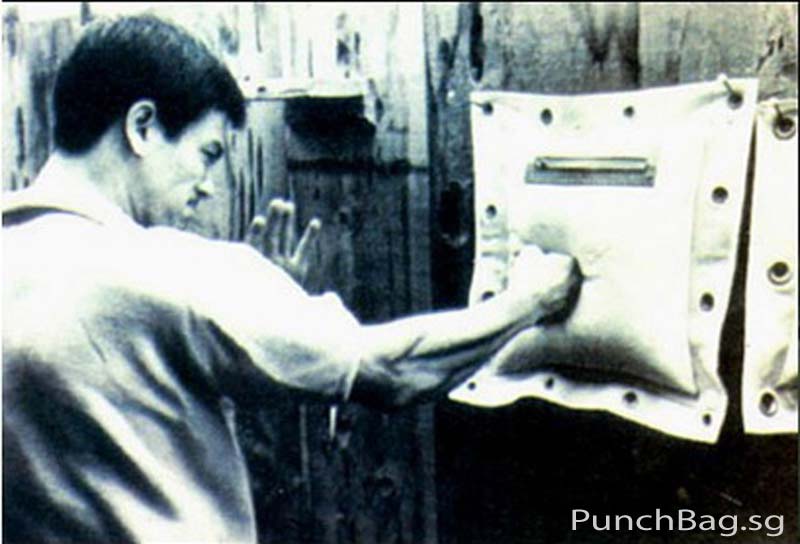 Wall Mounted Punch Bag