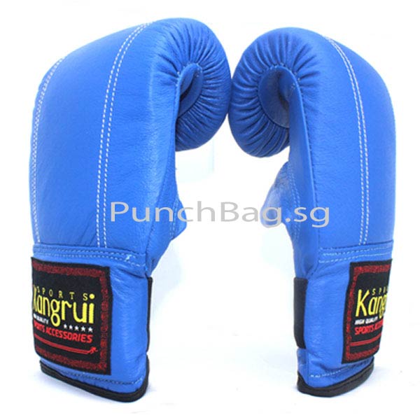 Sparring Glove