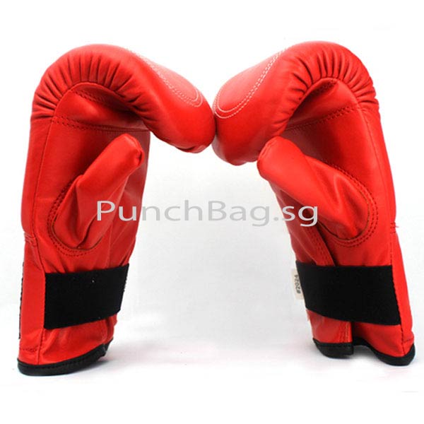 Sparring Glove