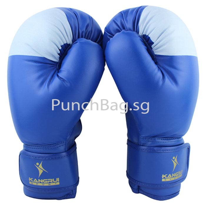 Sparring Glove