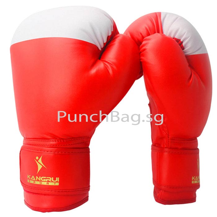 Sparring Glove